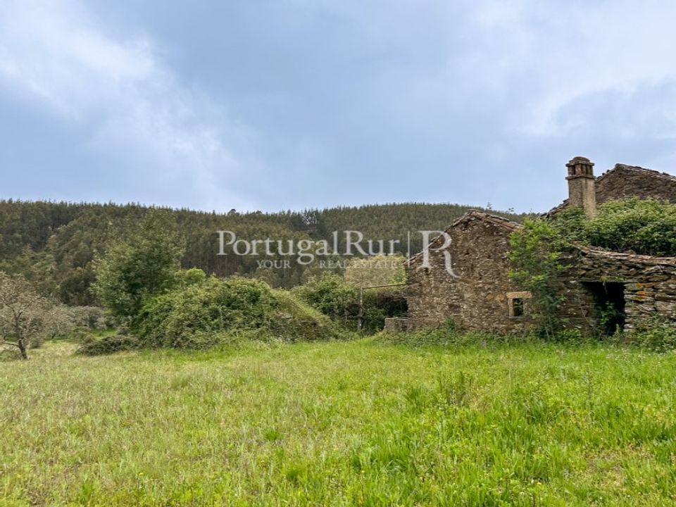 Farm i Fundao, Castelo Branco - foto 4
