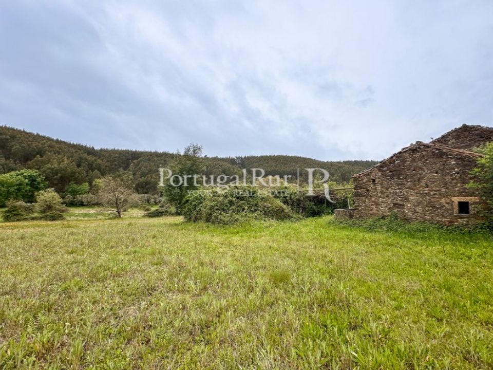 Farm i Fundao, Castelo Branco - foto 5