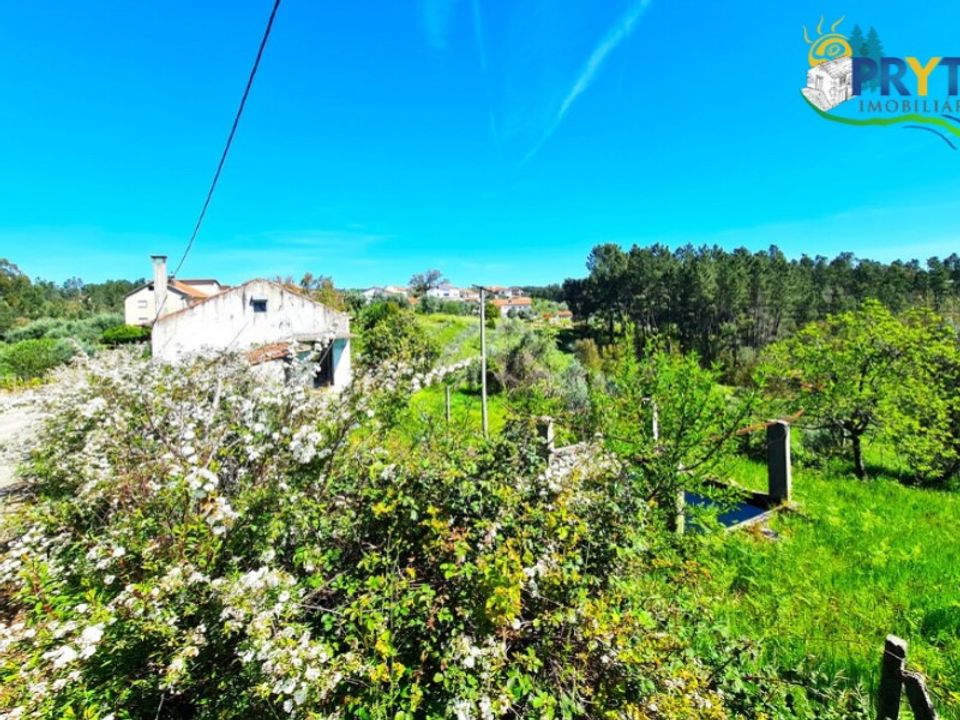 Granja a Serta, Castelo Branco - foto 4