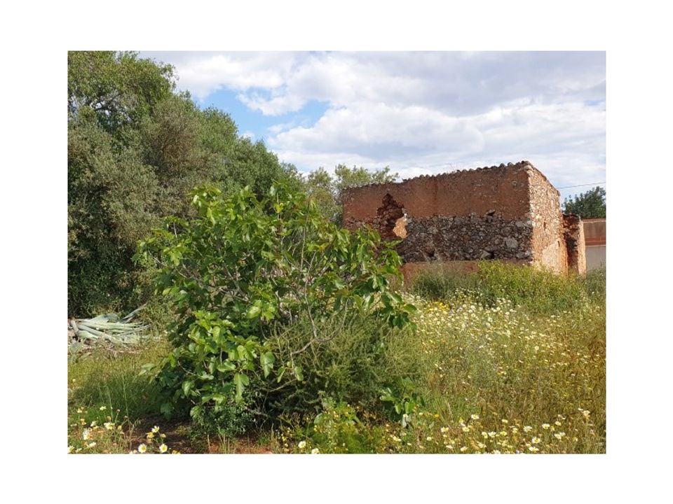 Helårsgrund i Algoz, Faro - foto 1