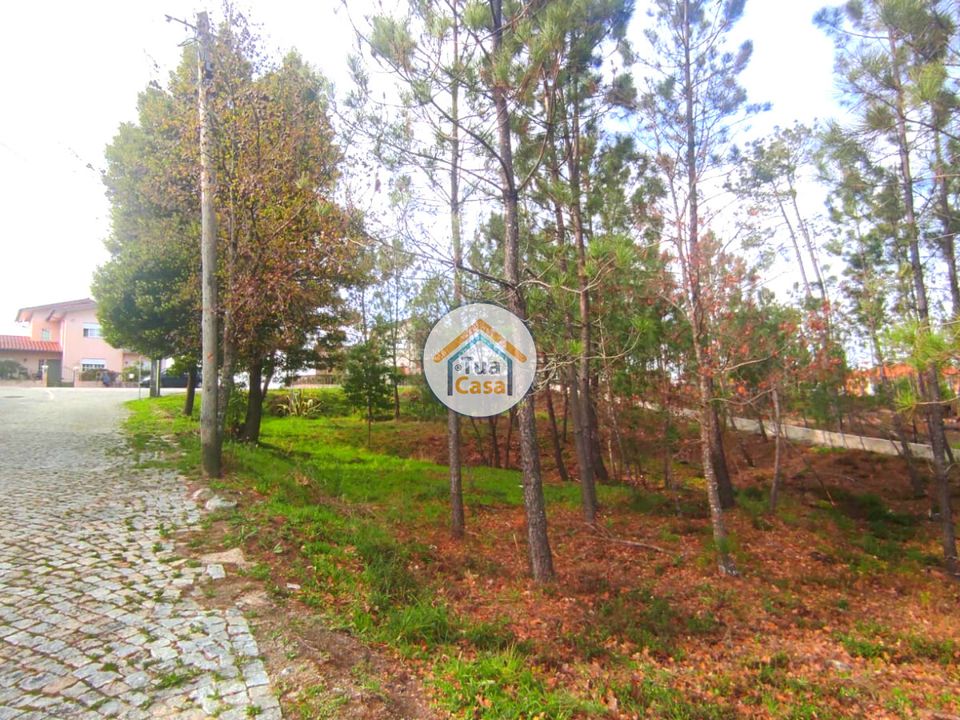 Helårsgrund i Viseu, Viseu - foto 3