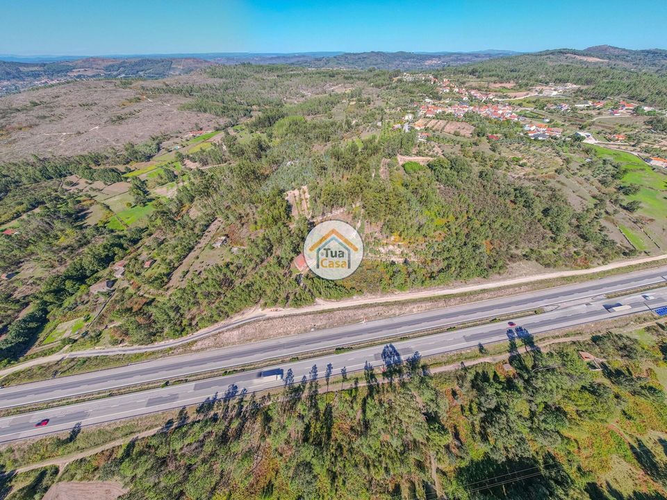 Helårsgrund i Mangualde, Viseu - foto 4