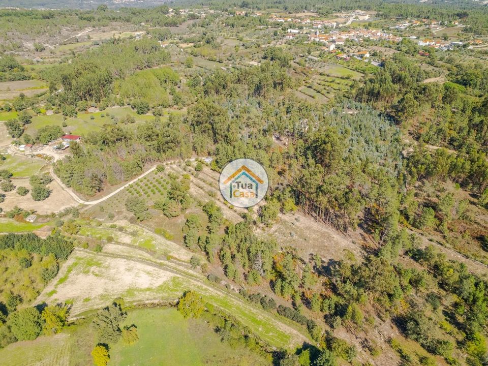 Helårsgrund i Mangualde, Viseu - foto 1