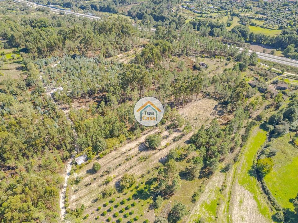 Helårsgrund i Mangualde, Viseu - foto 2