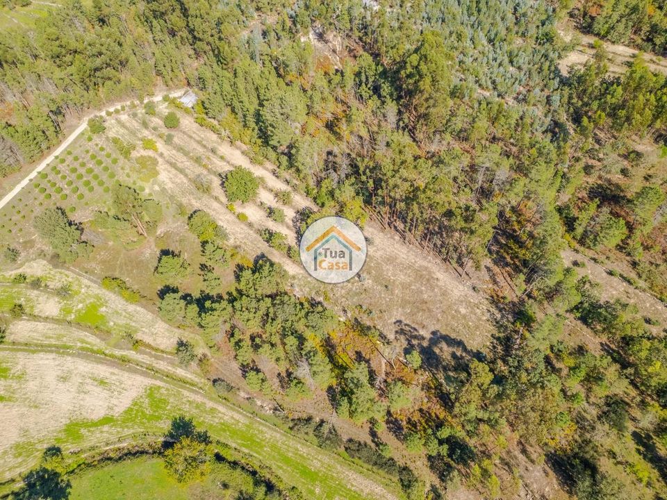 Helårsgrund i Mangualde, Viseu - foto 3