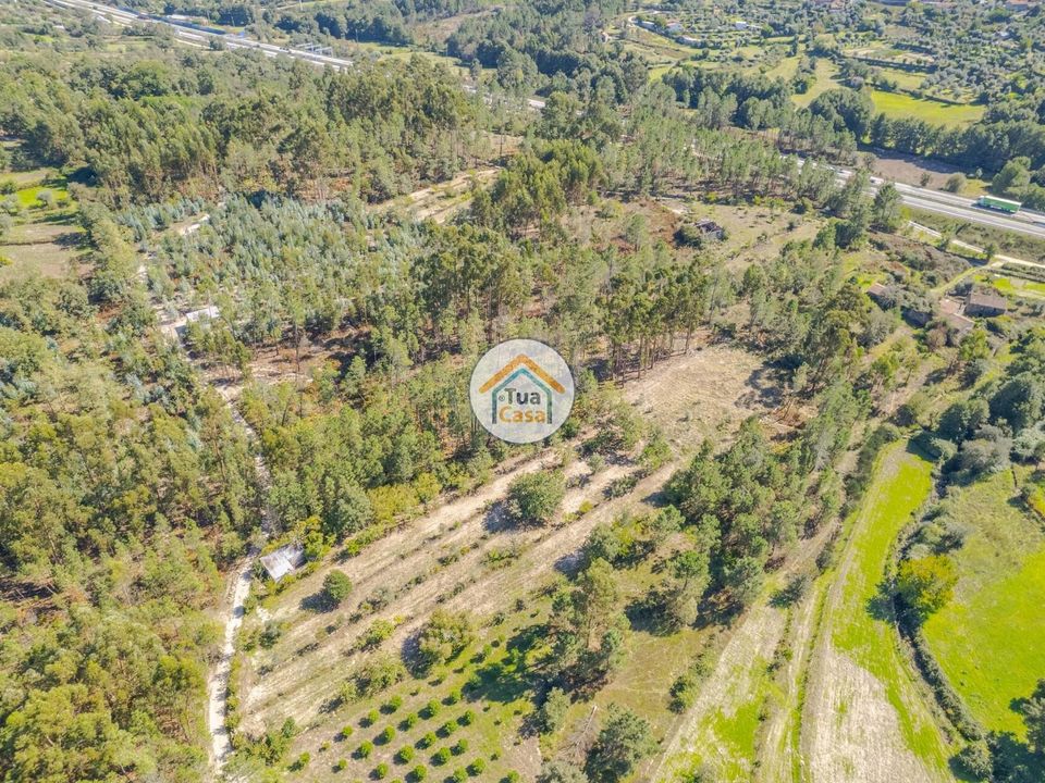 Helårsgrund i Mangualde, Viseu - foto 4