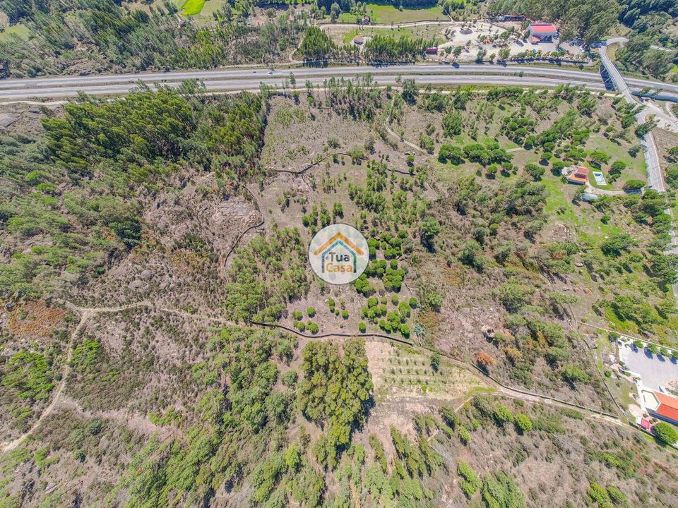 Helårsgrund i Mangualde, Viseu - foto 4