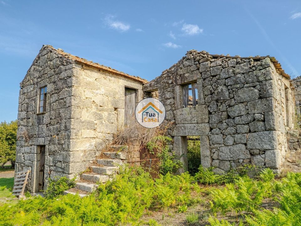 Farm i Mangualde, Viseu - foto 1