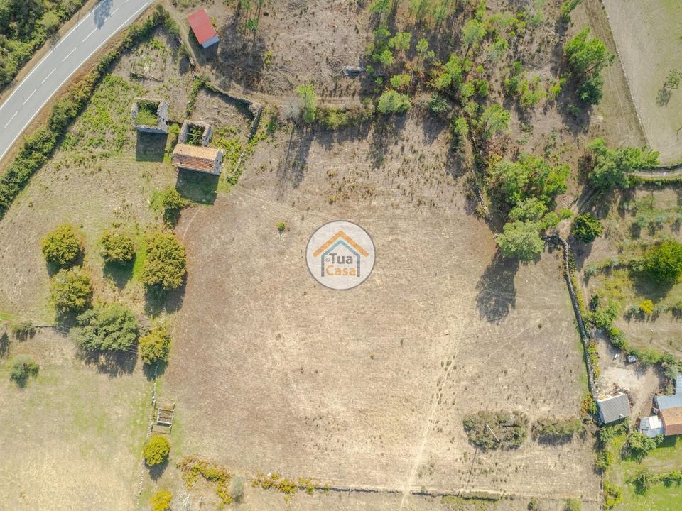 Farm i Mangualde, Viseu - foto 3