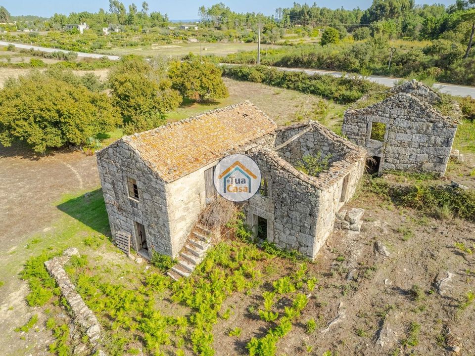 Farm i Mangualde, Viseu - foto 4