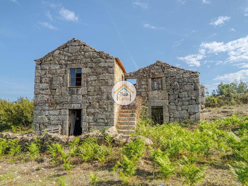 Farm i Mangualde, Viseu - foto 5