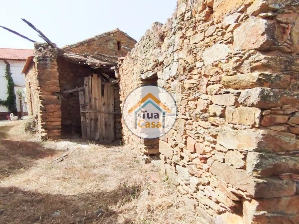 Farm i Santa Comba Dao, Viseu - foto 5