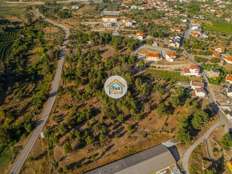 Helårsgrund i Sernancelhe, Viseu - foto 3