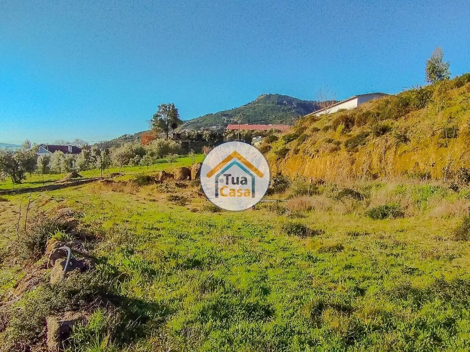 Helårsgrund i Tondela, Viseu - foto 2