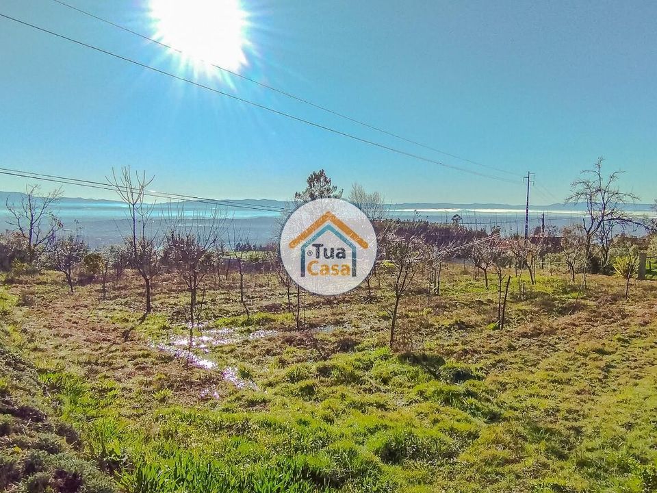 Helårsgrund i Tondela, Viseu - foto 5