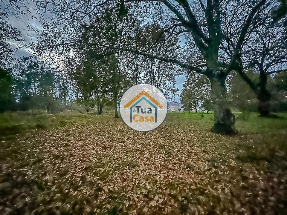 Helårsgrund i Sao Pedro do Sul, Viseu - foto 3