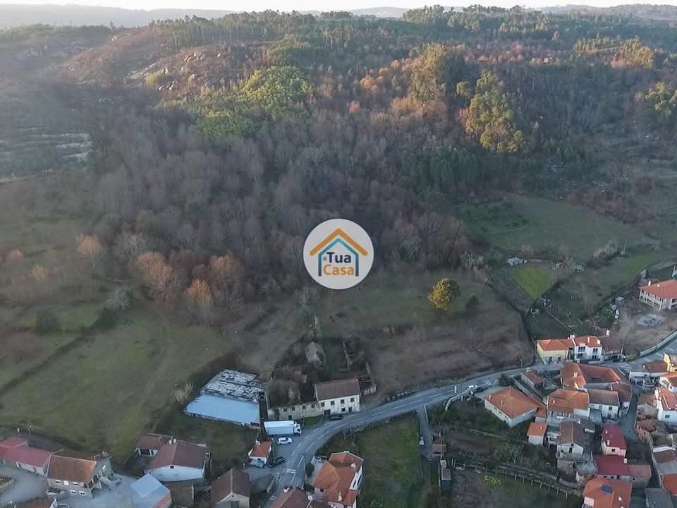 Farm i Viseu, Viseu - foto 2