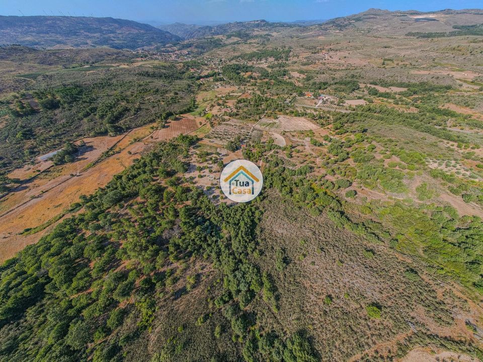 Helårsgrund i Sernancelhe, Viseu - foto 3