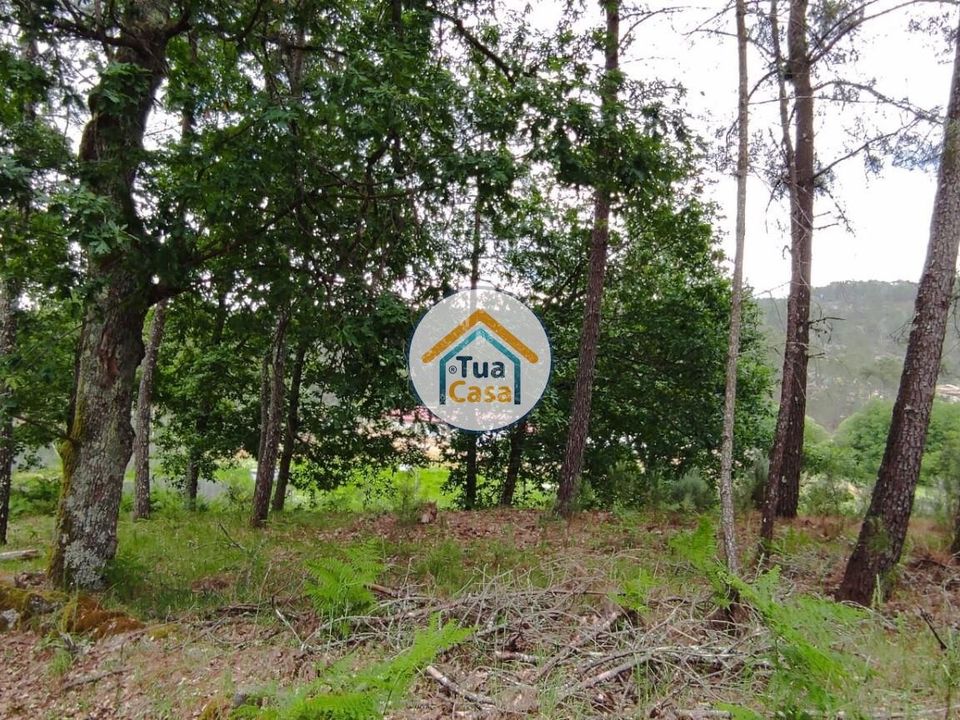 Helårsgrund i Aguiar da Beira, Guarda - foto 1