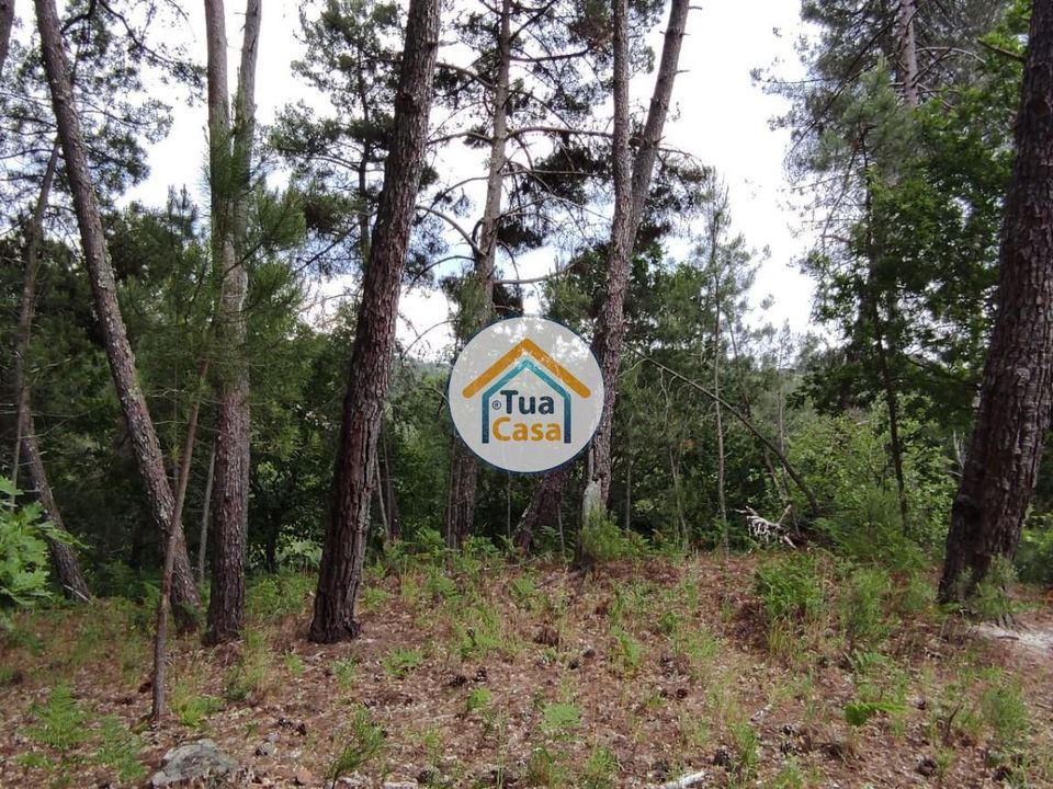 Helårsgrund i Aguiar da Beira, Guarda - foto 2