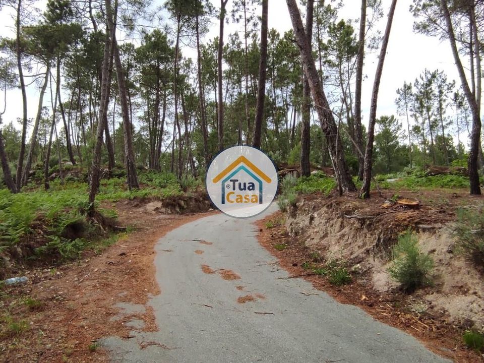Helårsgrund i Aguiar da Beira, Guarda - foto 3