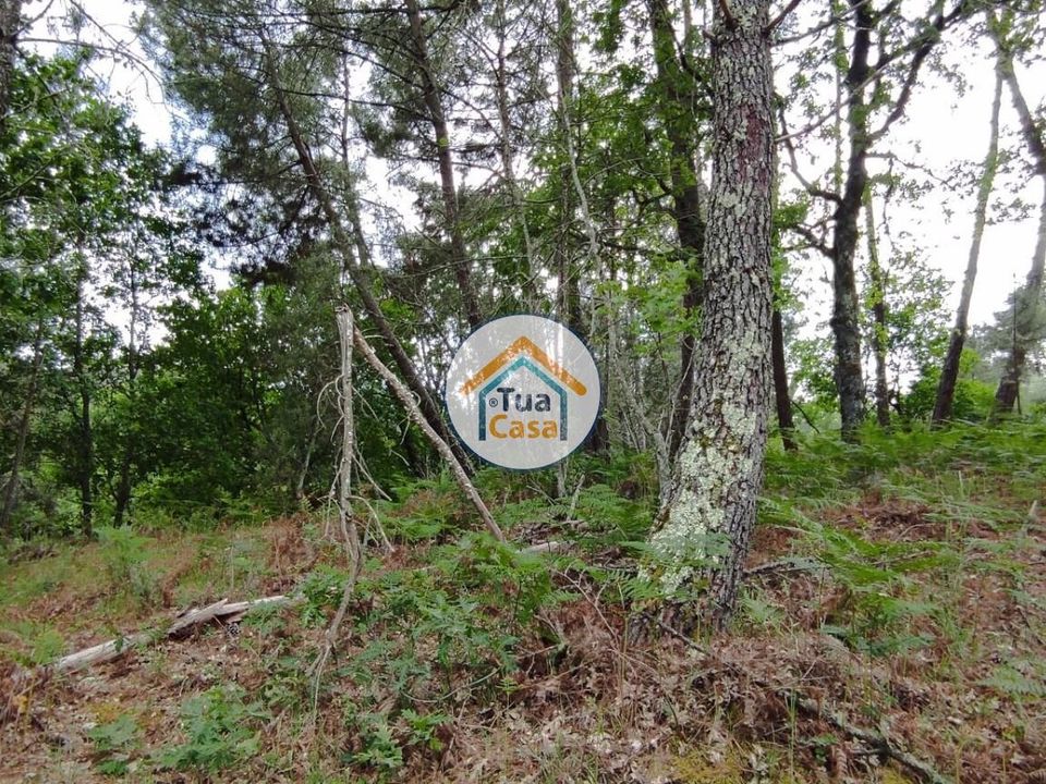 Helårsgrund i Aguiar da Beira, Guarda - foto 4