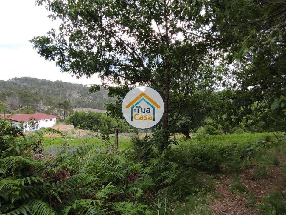 Helårsgrund i Aguiar da Beira, Guarda - foto 5
