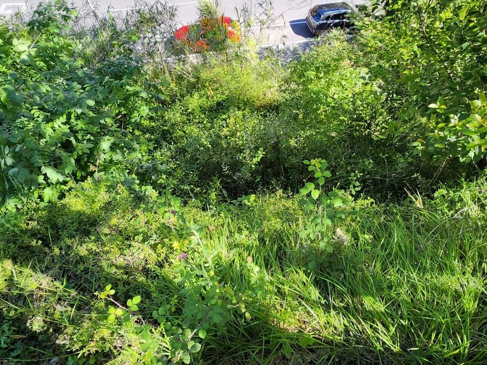 Terreno en Nice, Alpes-Maritimes - foto 1