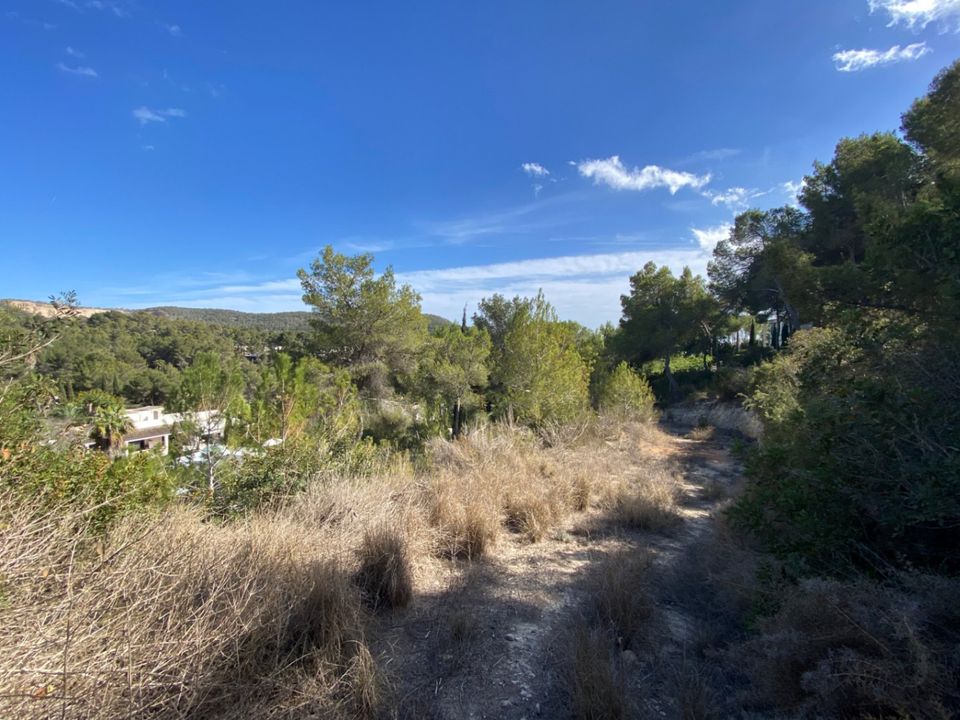 Helårsgrund i Santa Eulalia Del Rio, Ibiza - foto 5