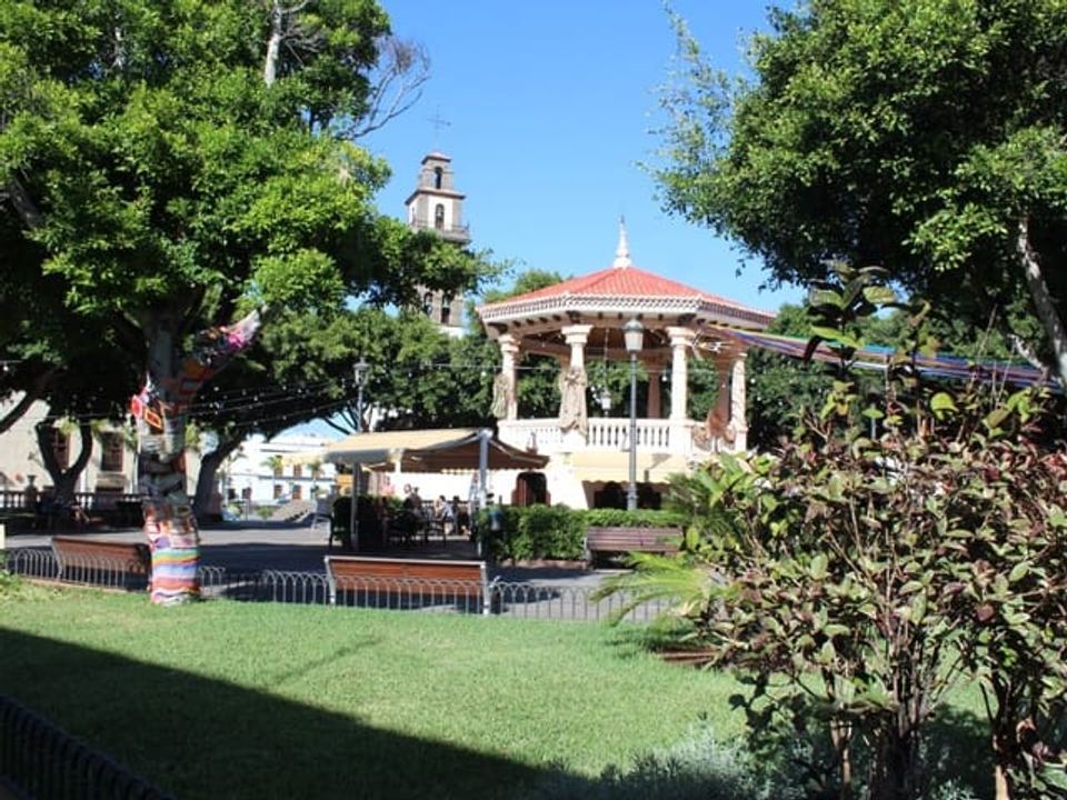 Erhvervsejendom i Icod de los Vinos, Tenerife - foto 2