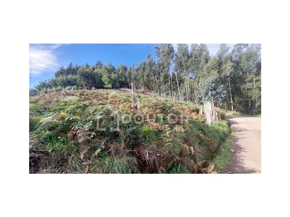 Helårsgrund i Camacha, Madeira - foto 2