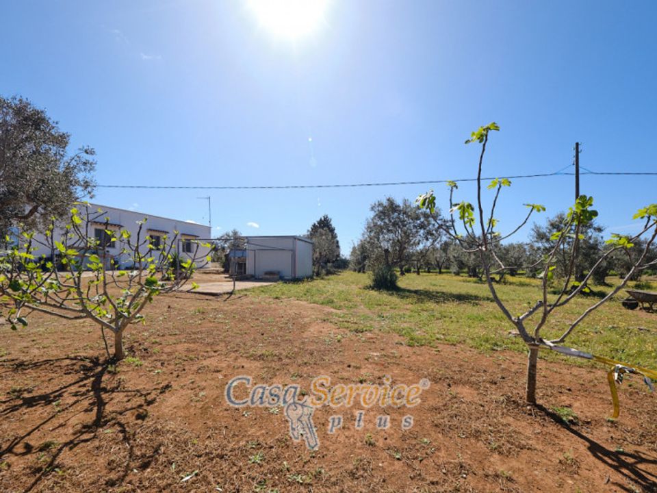 Villa i Gallipoli, Lecce - bilde 3