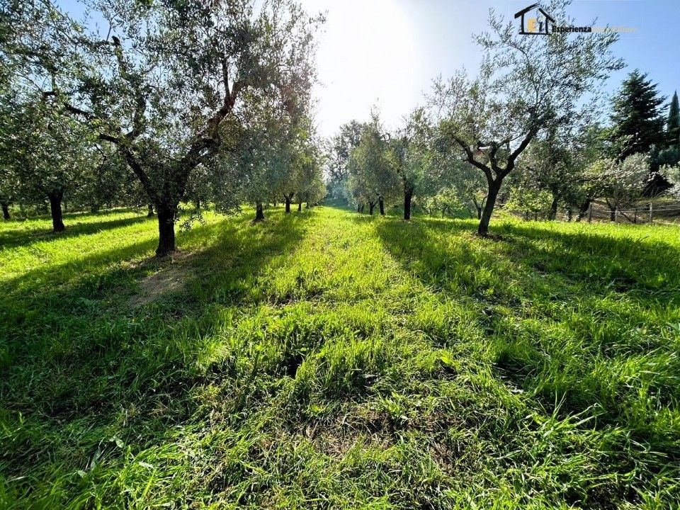 Helårsgrund i Poggio Mirteto, Rieti - foto 1