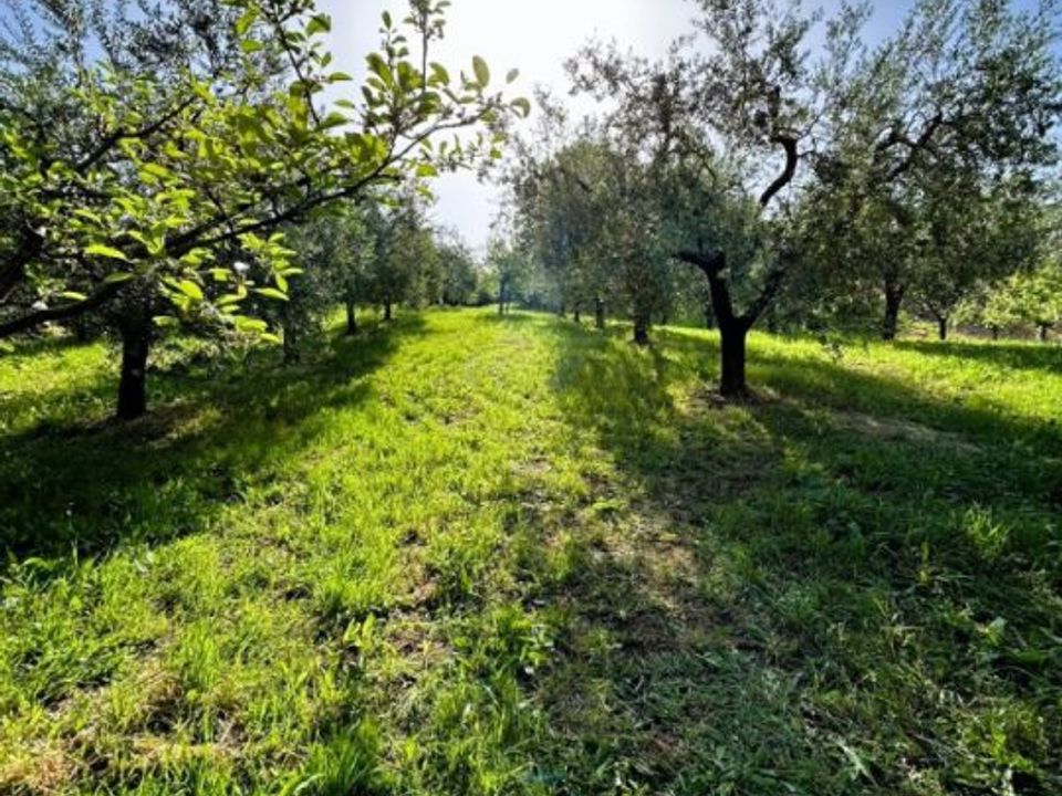 Helårsgrund i Poggio Mirteto, Rieti - foto 2
