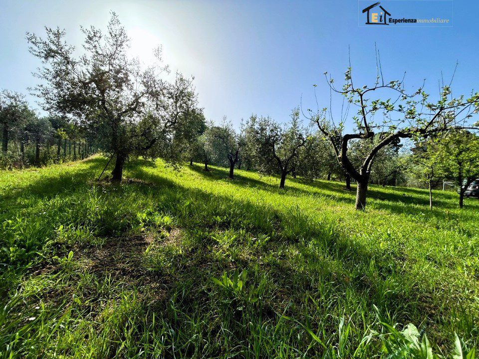 Helårsgrund i Poggio Mirteto, Rieti - foto 3