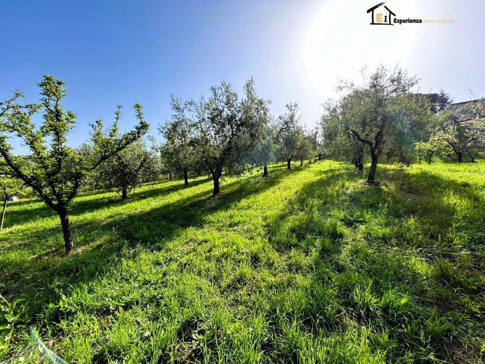 Helårsgrund i Poggio Mirteto, Rieti - foto 4