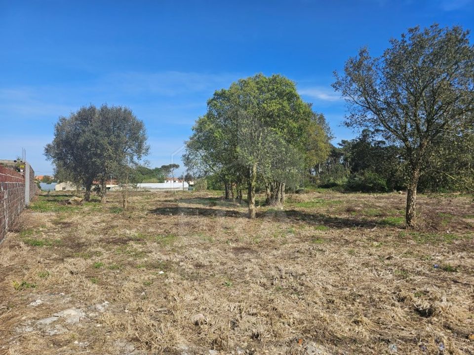 Helårsgrund i Apulia, Braga - foto 3