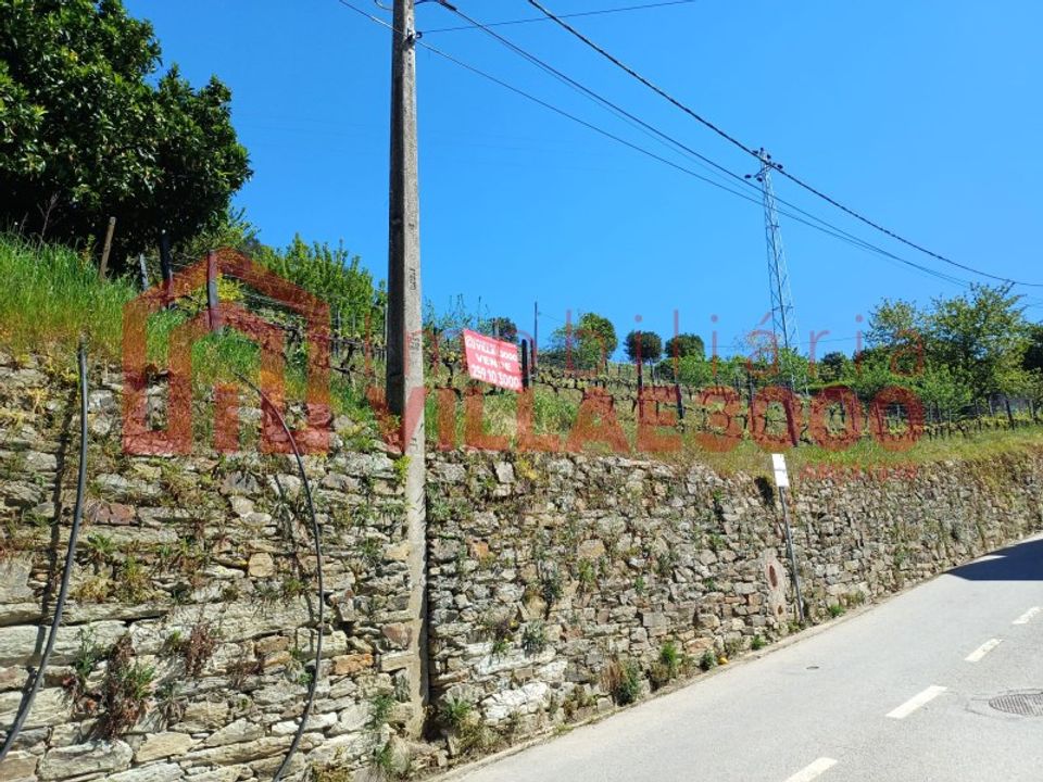 Tomt i Moimenta da Beira, Viseu - bilde 1