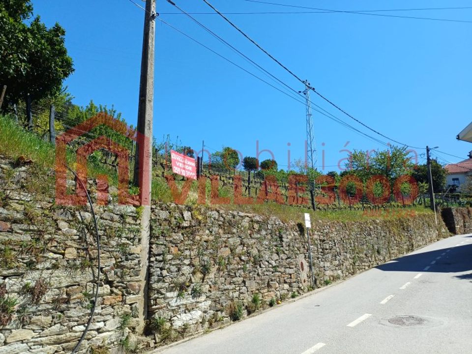 Tomt i Moimenta da Beira, Viseu - bilde 2