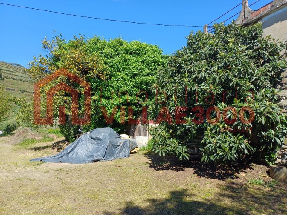 Tomt i Moimenta da Beira, Viseu - bilde 3
