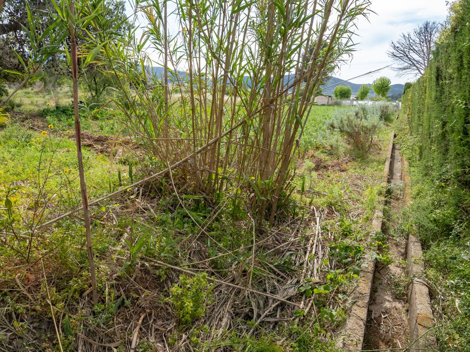 Finca i Ulldecona, Tarragona - foto 4