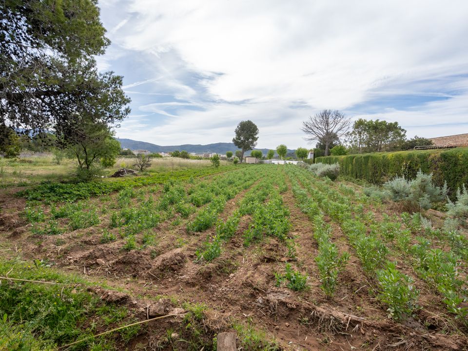 Finca i Ulldecona, Tarragona - foto 1