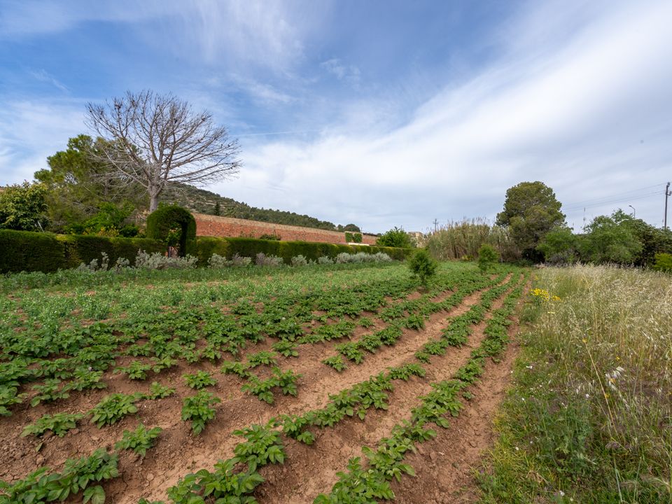 Finca i Ulldecona, Tarragona - foto 2