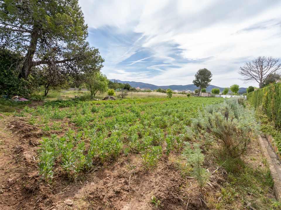 Finca i Ulldecona, Tarragona - foto 5