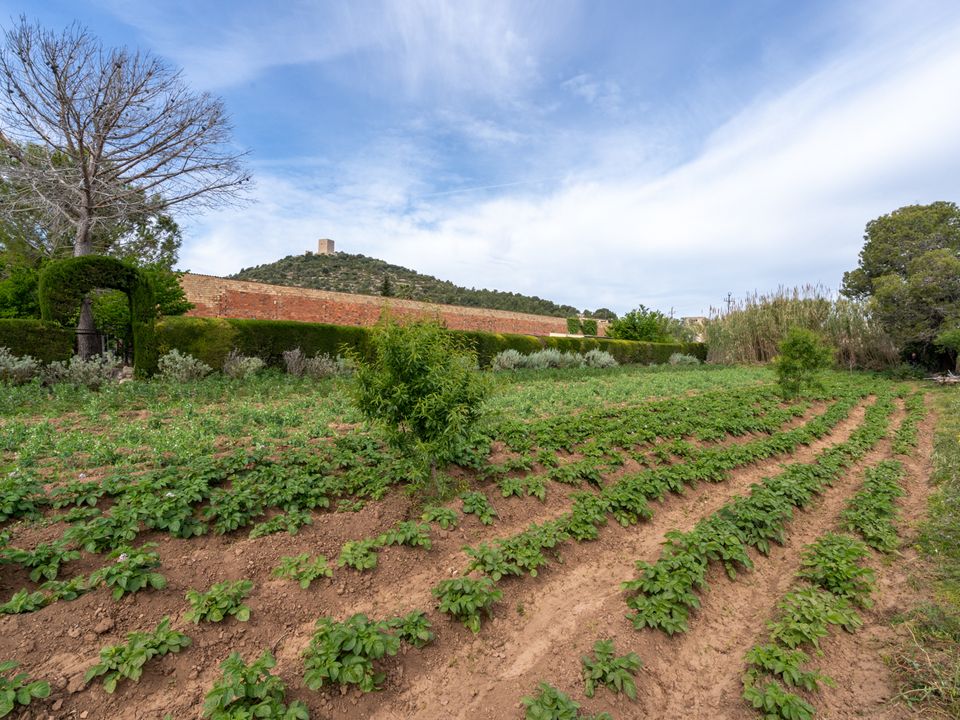 Finca i Ulldecona, Tarragona - foto 3