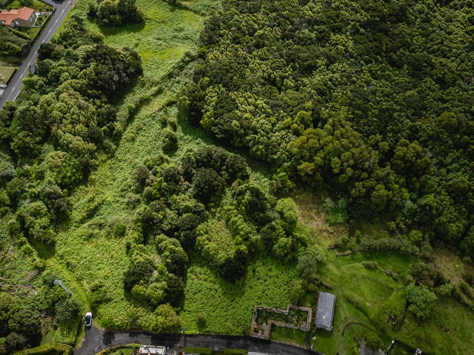Ruinere i Horta, Faial - foto 2