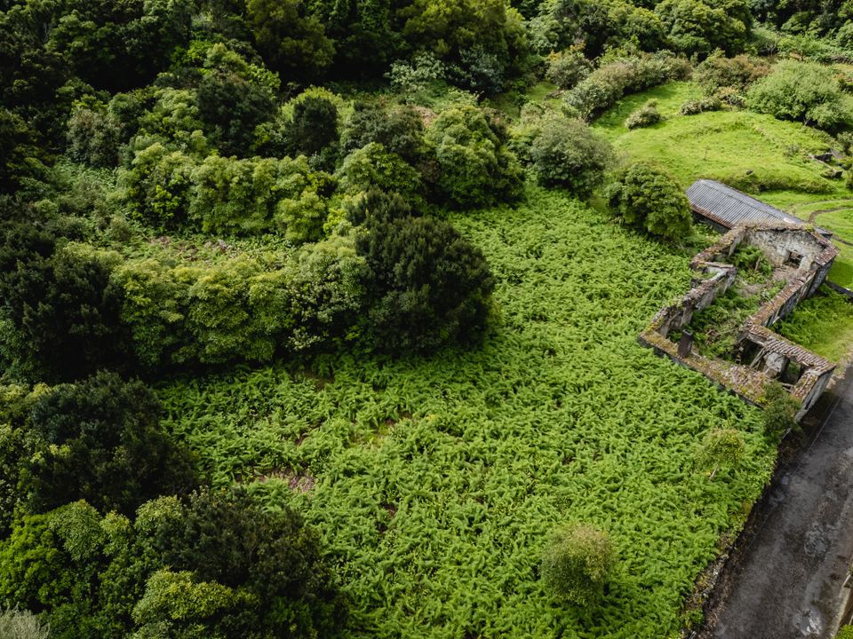Ruinere i Horta, Faial - foto 1