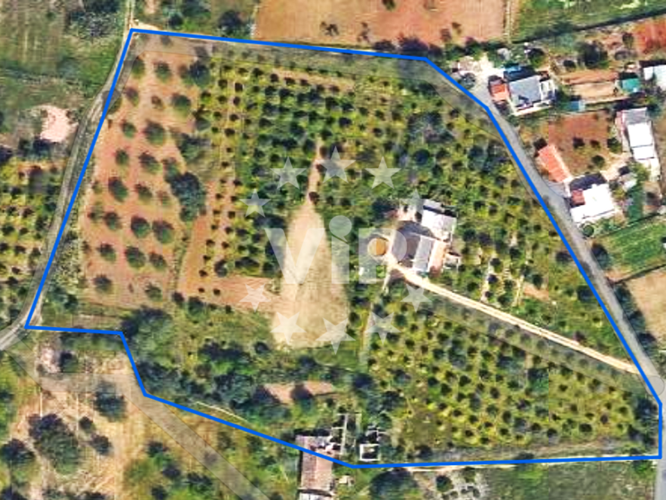 Farm hus i Almancil, Faro - foto 2