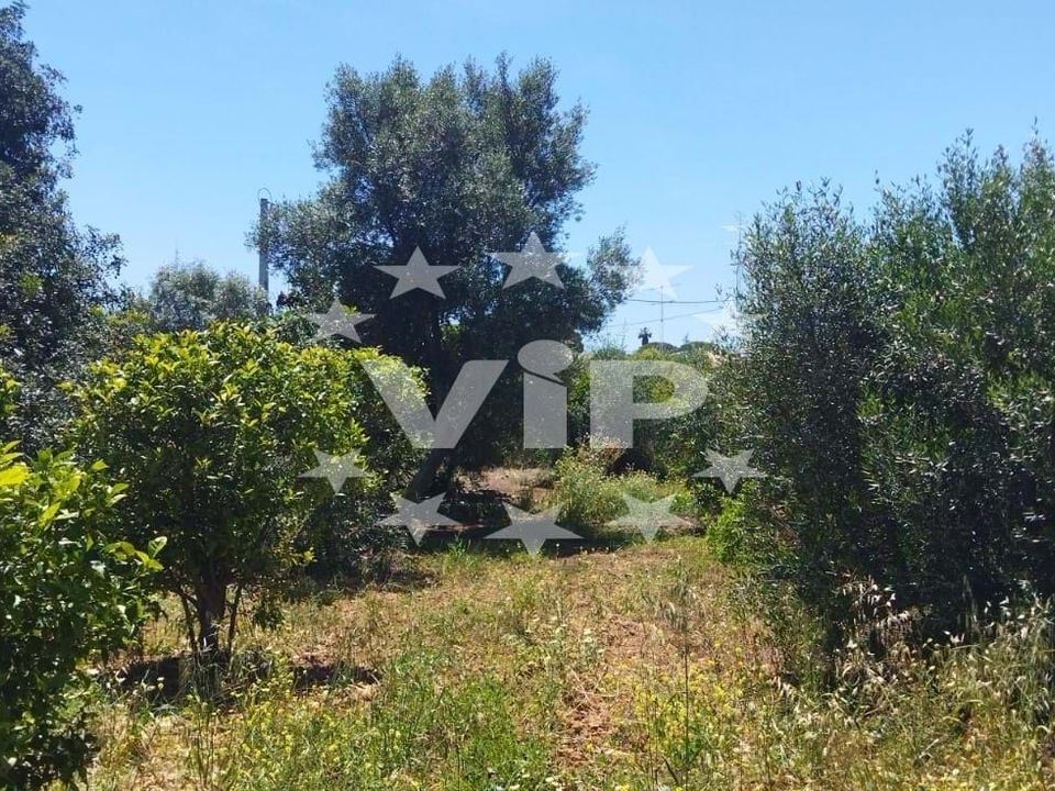 Farm hus i Almancil, Faro - foto 5
