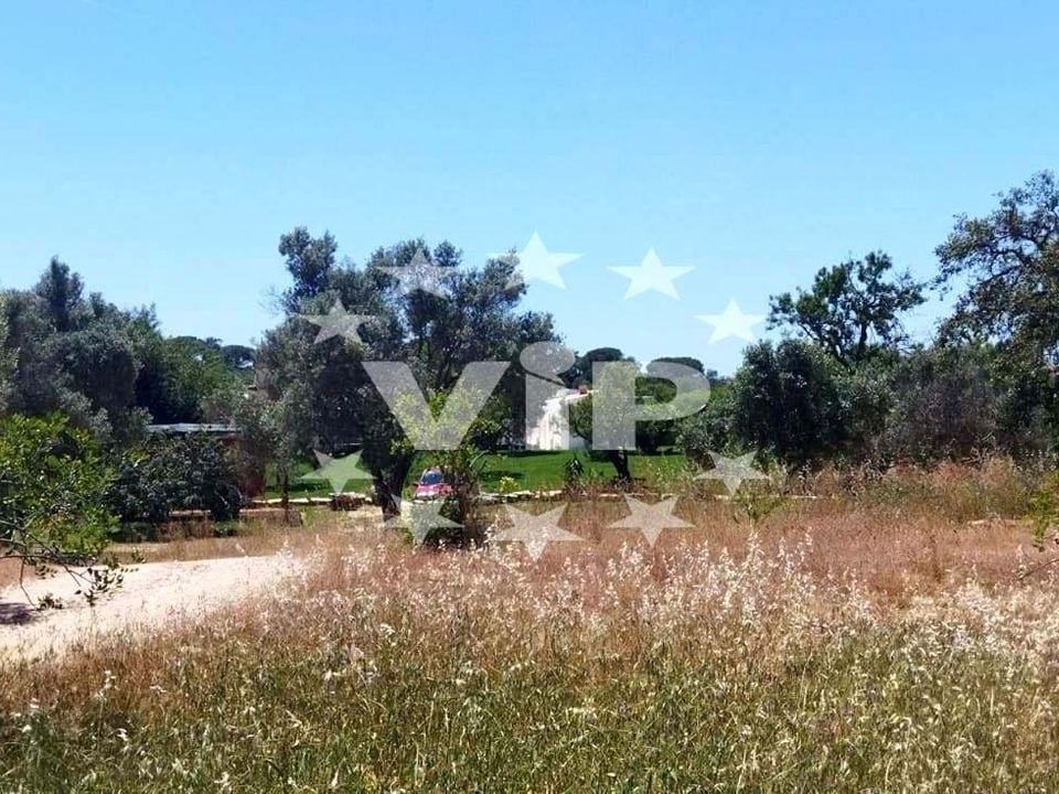 Farm hus i Almancil, Faro - foto 4